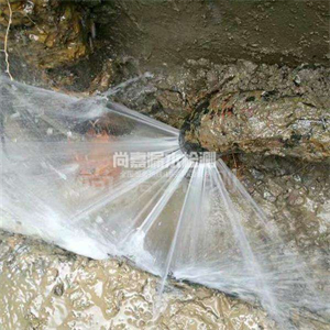 辽中消防管道漏水检测